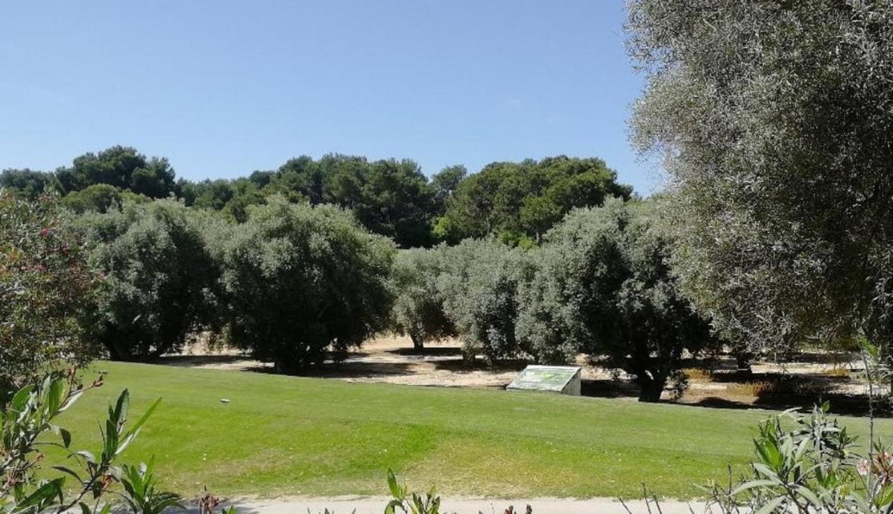 Casa Joleen 2 Villamartin  Zewnętrze zdjęcie
